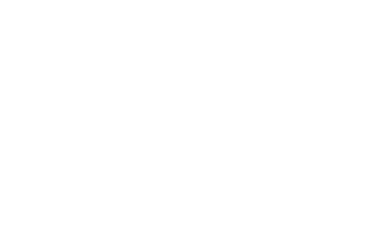The Home Depot